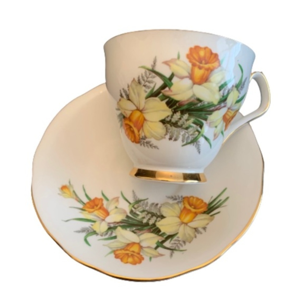 Royal Windsor Fine Bone China cup and saucer